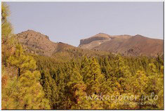 Widok na Narodowy Park Teide