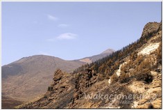Park Narodowy Teide po pożarze w 2012